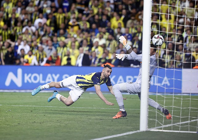 仅是一场体 仅是一场体