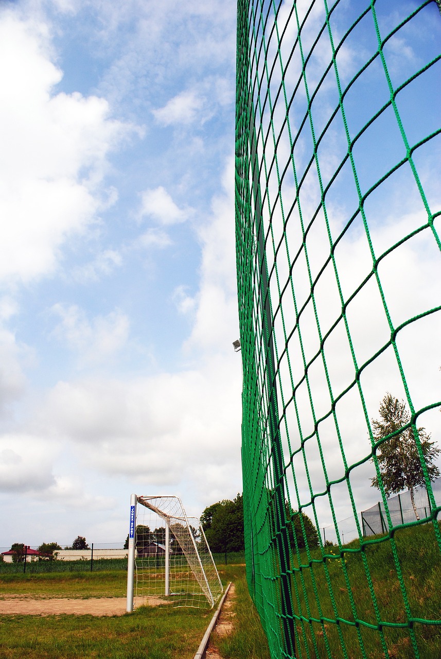 这次对阵尼 这次对阵尼