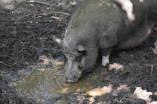 团队合作 团队合作