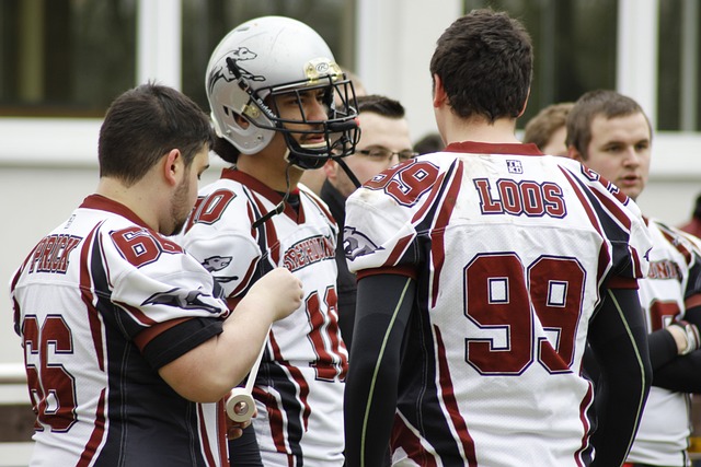 球迷与数据 球迷与数据