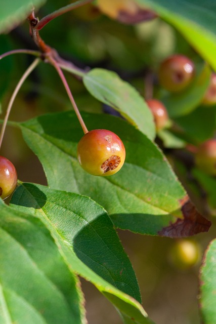 这些在国际 这些在国际