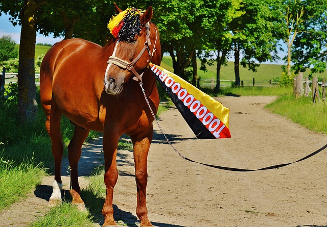 还获得了教 还获得了教