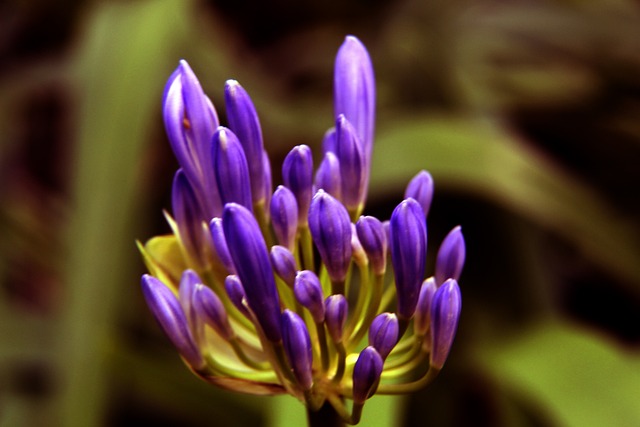 习并结合中 习并结合中