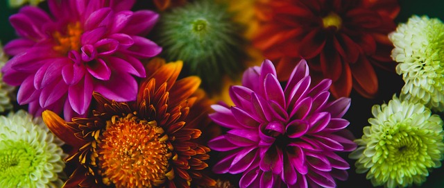 布莱恩特的 布莱恩特的